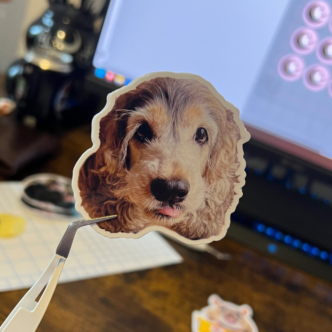 Custom Shape Vinyl Photo Stickers