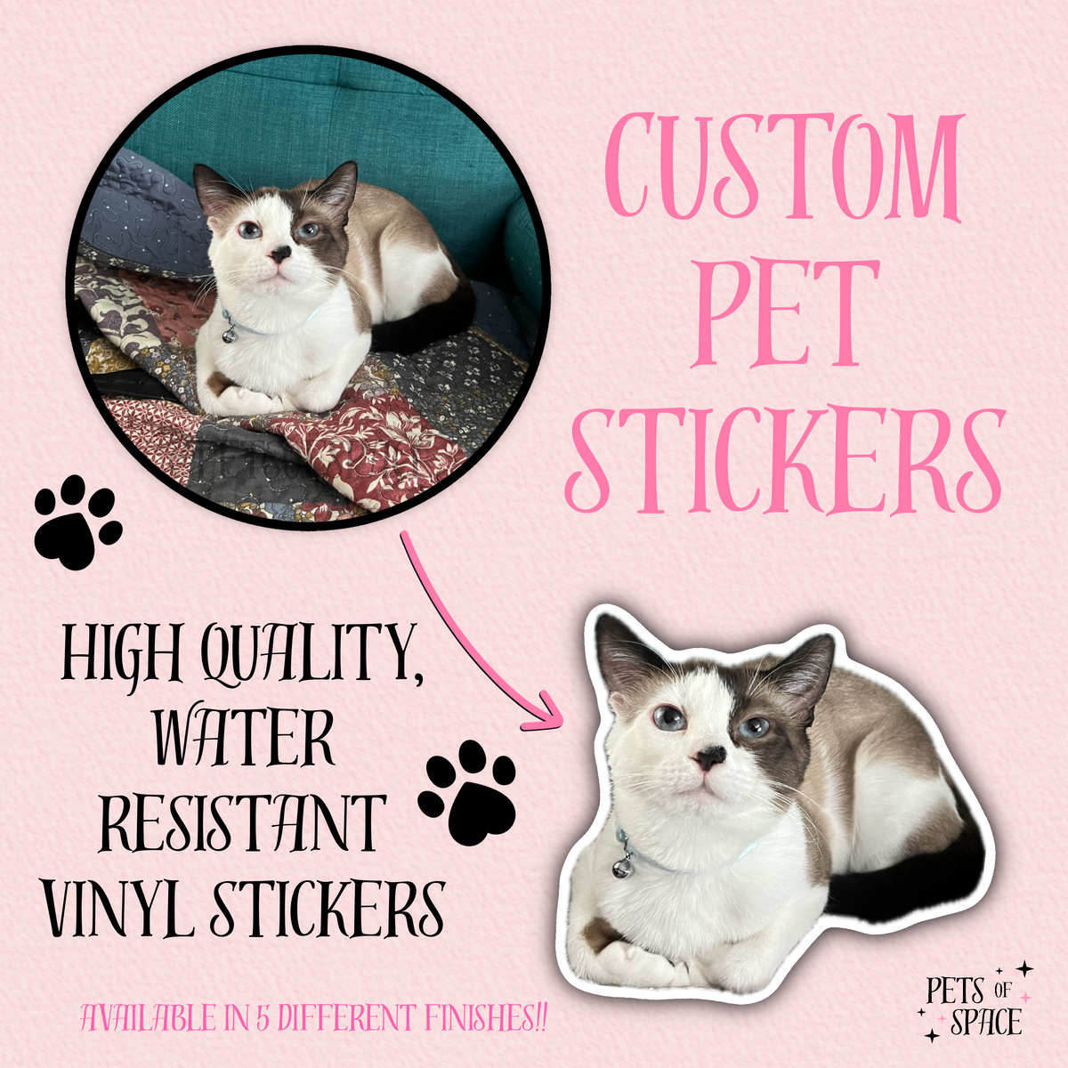 Custom Shape Vinyl Photo Stickers