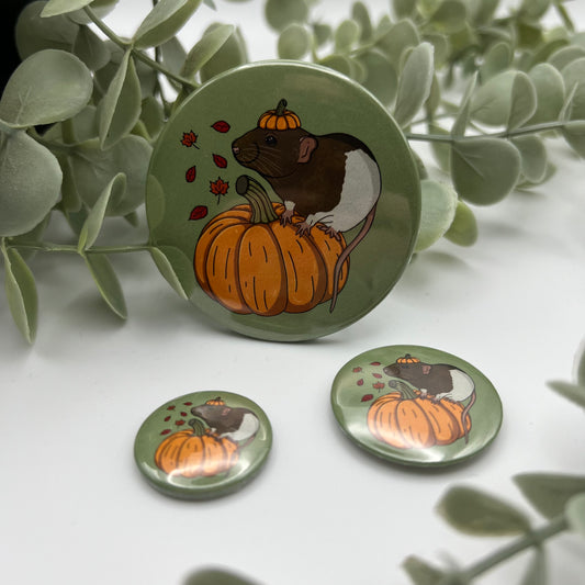 Autumn Pumpkin(g) Magnets