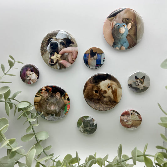Custom Photo Magnets